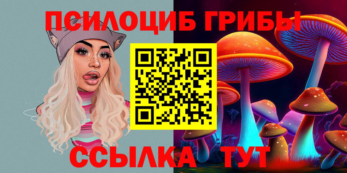 Псилоцибиновые грибы прущие грибы Краснознаменск