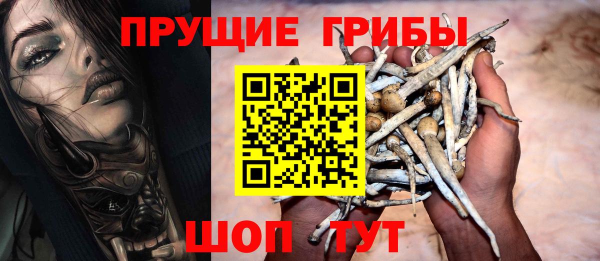 Краснознаменск  где купить наркоту  Вход с VPN  Псилоцибиновые грибы Magic Shrooms  Псилоцибиновые грибы прущие грибы 